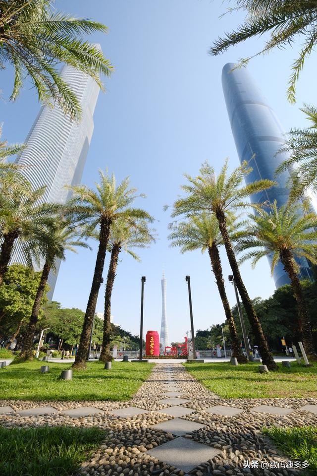 广州一年四季这景点都有花海，绝美赏景地