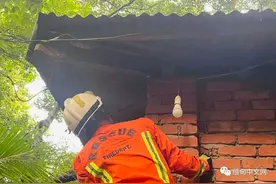 缅甸一户人家屋顶来了一条大蛇，大嘴一张太吓人图片