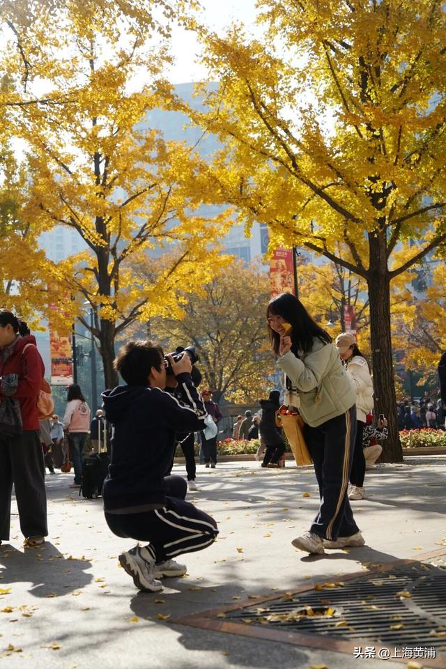 市中心的“金色会客厅”，成为了最欢乐的海洋！