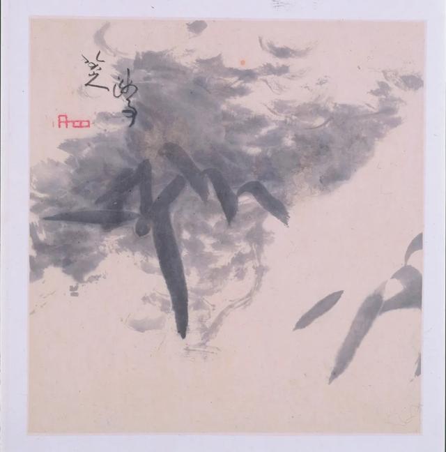 18个特别展览!上海博物馆2026展览指南,邀你共赏文化盛宴