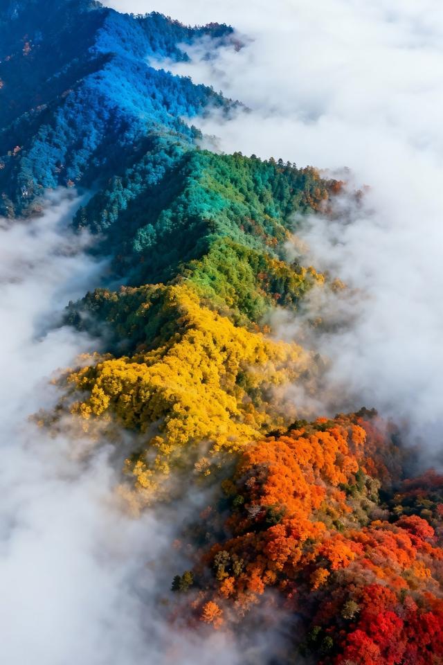 分享图片一迷人的风景