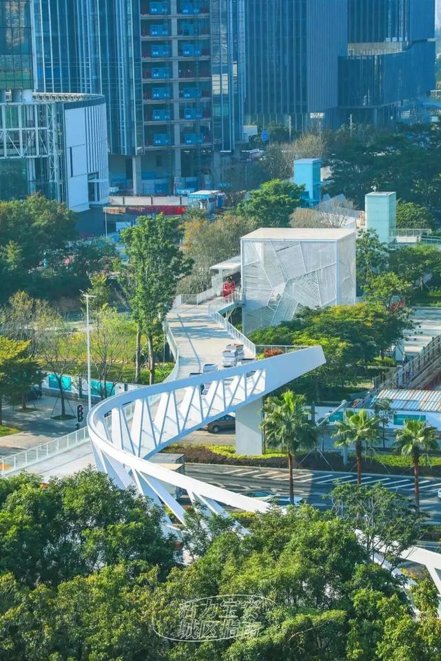 活力宝安城区指南｜山海蓝绿瞬间：山水连城，绿动宝安！