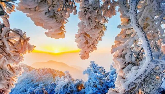 在临安,怎样才算“真土豪”?答案:买猪送房!