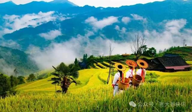 那远山在呼唤我