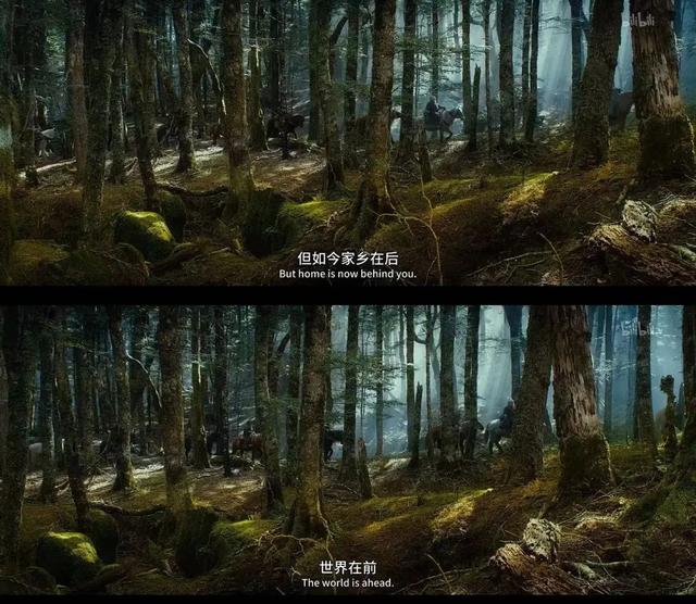 “窝囊旅游三件套”爆火！网友：朋友圈可以丢人，但体验感要拉满
