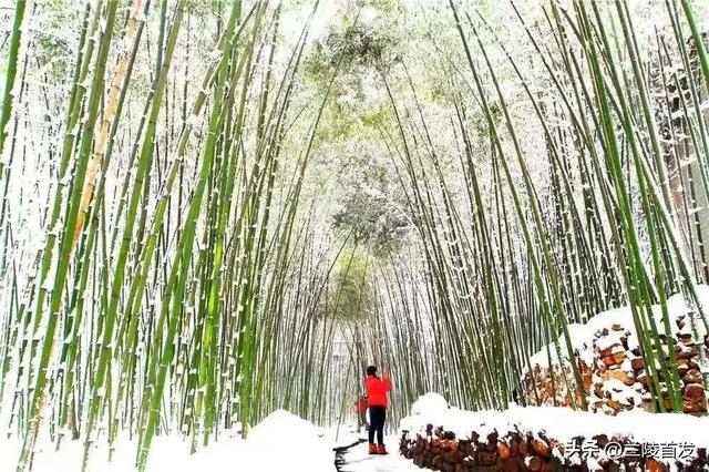 冬享沂蒙过大年｜雪落沂蒙，山河藏暖
