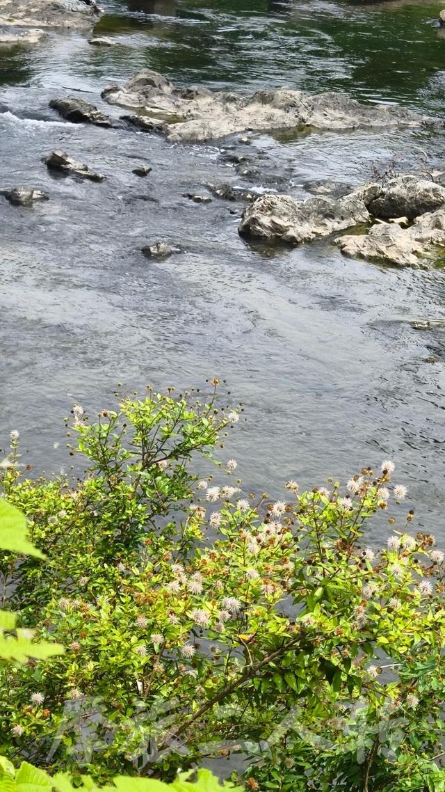 皖浙摩旅二人转——磻溪村篇