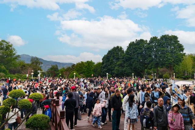 明月山全面进入旅游旺季，多维业态共绘秋冬盛景！