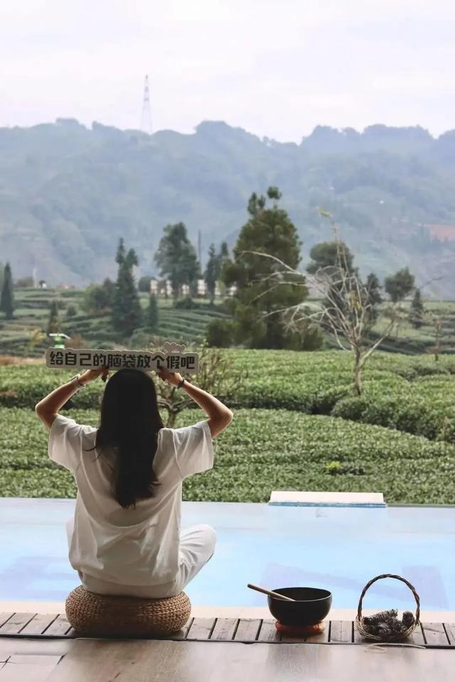 高铁提速，茶香不减，来一场说走就走的茶旅~~