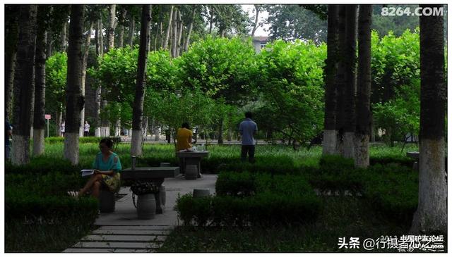 山东行游影记（16）—济南山东大学（三）