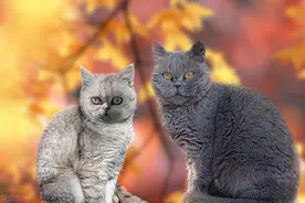 叔叔去外面打工，十二三岁的侄子陪婶婶睡觉做伴，最终家破人散！图片