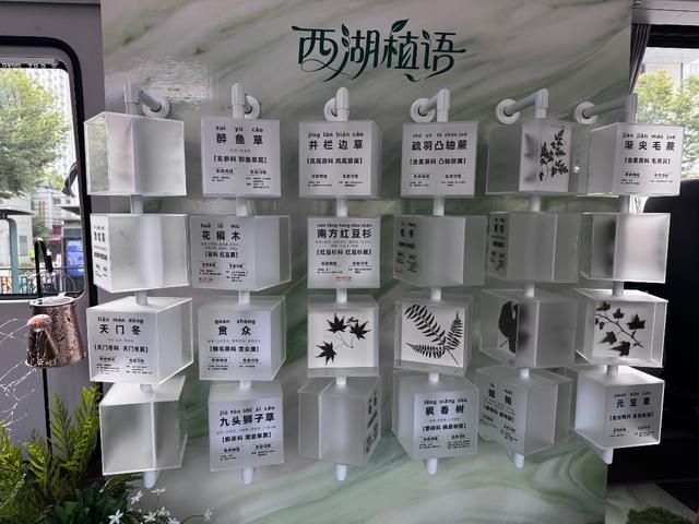 杭州人夜游有新去处！今晚，西湖夜游观光巴士上线
