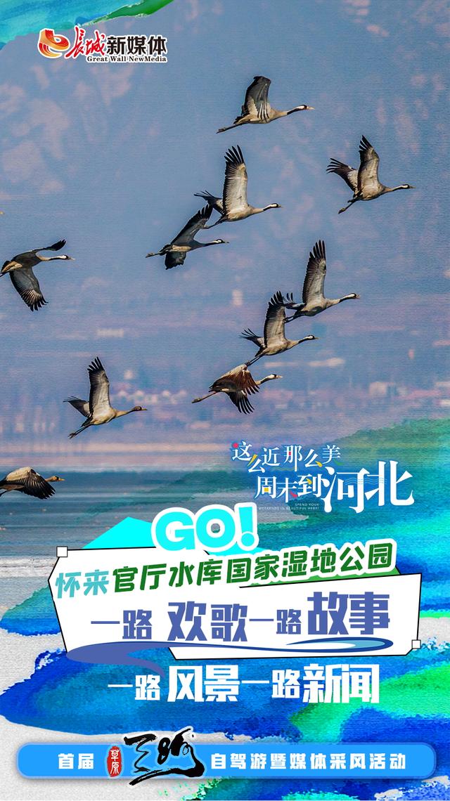 一路欢歌一路故事一路风景一路新闻③丨碧水泽润京津冀 且以绿意共潮生