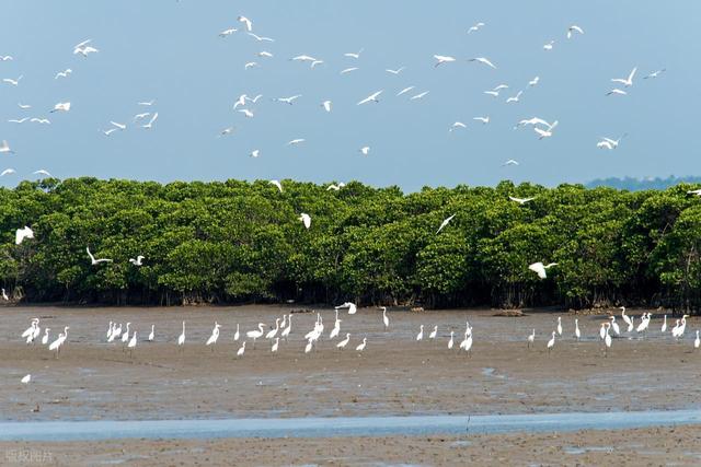海口一日游最佳景点推荐，海口10大好玩景点，一定不可错过！