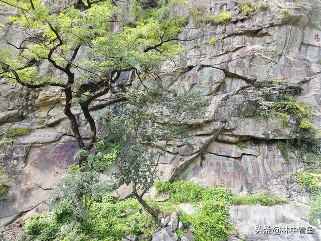 徒步登泰山之二——又是3小时，从中天门到南天门，不累！