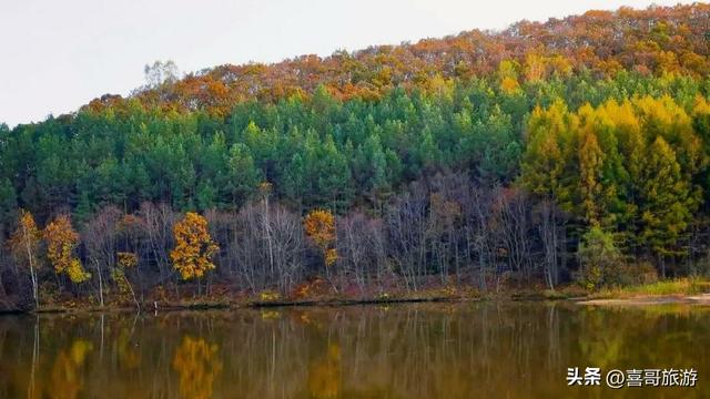 探秘鸡西铁西森林公园：北国的生态净土与梦幻之境