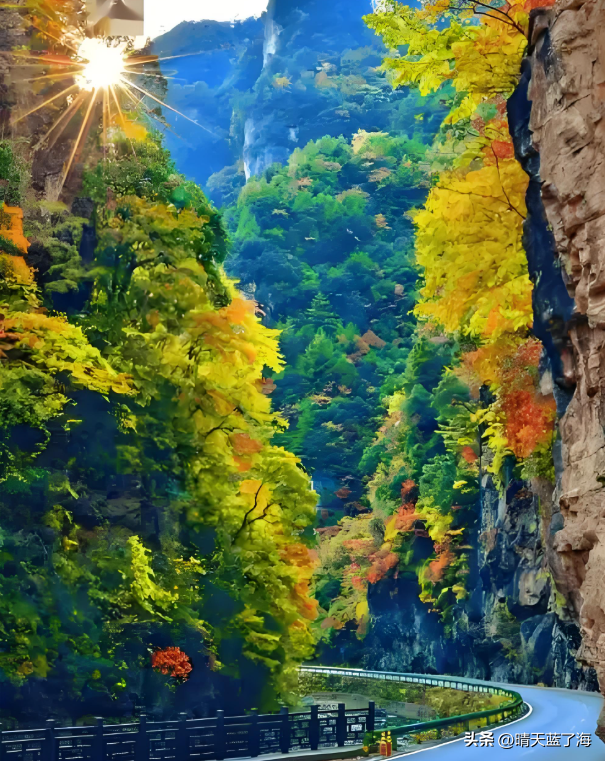 神农架国庆三日秋色秘境：避开人潮，独享北纬31°的视觉盛宴！