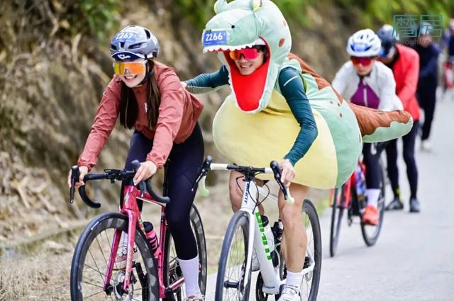 风驰竹海，骑友盛赞！在运动与美景的交融中收获双重满足