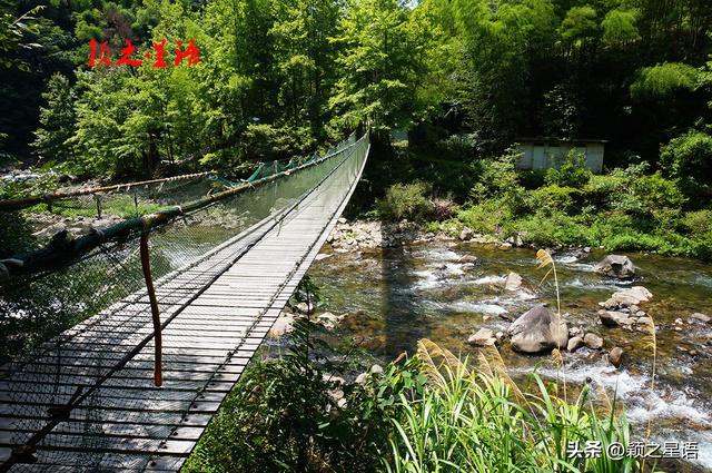 清水溪露营基地，躺漂快乐，可知网红吊桥暗藏风险？