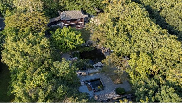 从“园中园”到“创意社交场” 深圳园博园打开城市新生活方式