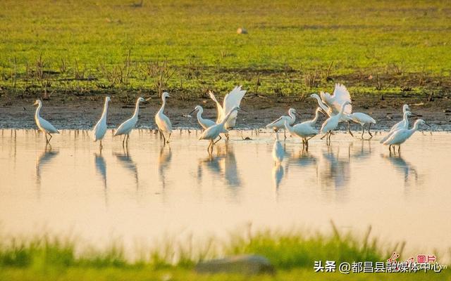 都昌：大美湿地 生态画卷