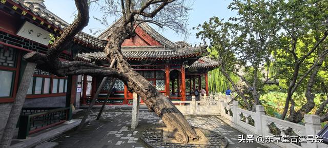 探秘保定古莲花池：穿越八百年的园林传奇