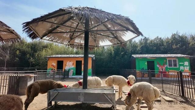 不必远游！日照家门口的遛娃首选地→