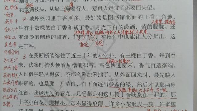 六年级上册第二课《丁香结》，资深教师手写笔记，帮助学生学语文