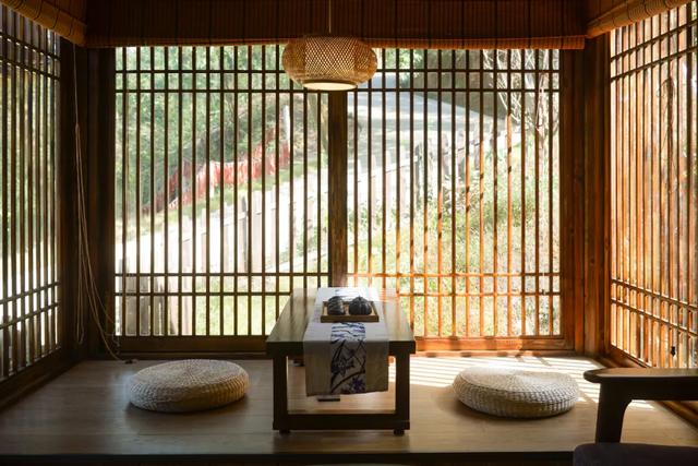 可惜你不听《枫》,不知道醴陵这片枫林到底有多美!