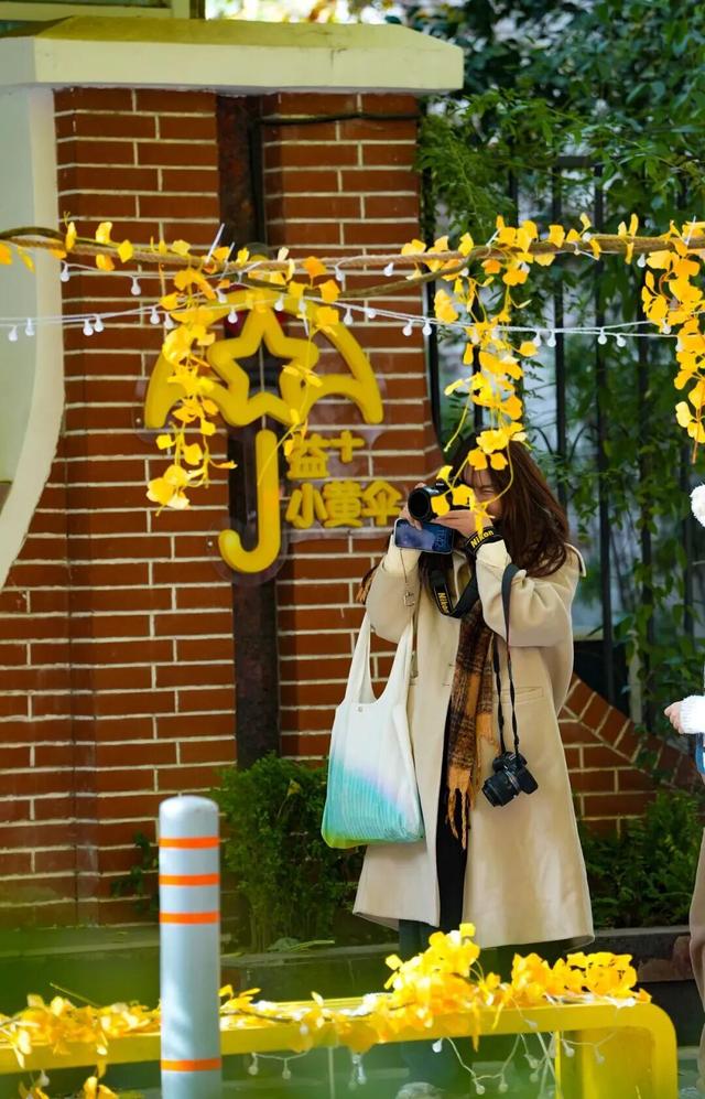 出片率100%！上海人都在找这个“限定露台”！这条“银杏大道”好拍又好吃！