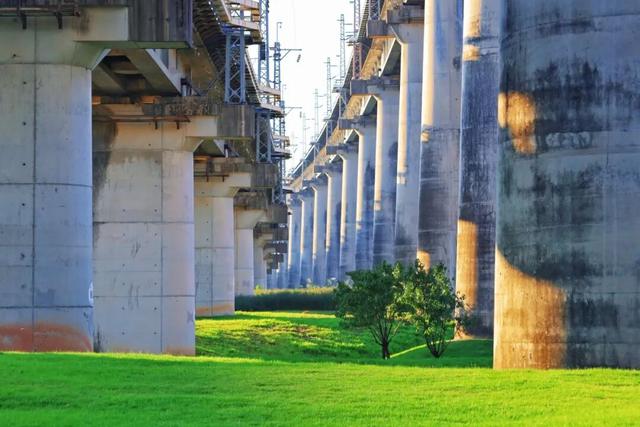 三条高铁并行！桥下还有“宝藏”，等你发现！