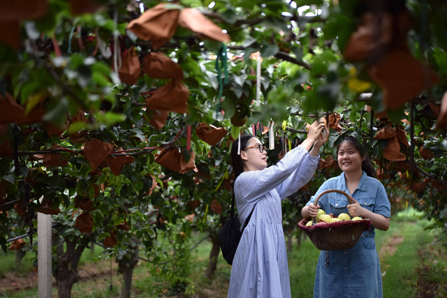 周末游河北：邢台市威县，冀南平原一座被低估的美丽小城