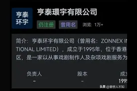 组织筹划刘德华2024演唱会的企业都是什么背景？图片