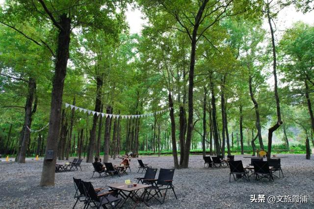 当北纬27°的风穿过枫林,我在渡头村撞见了一场自然的浪漫剧场