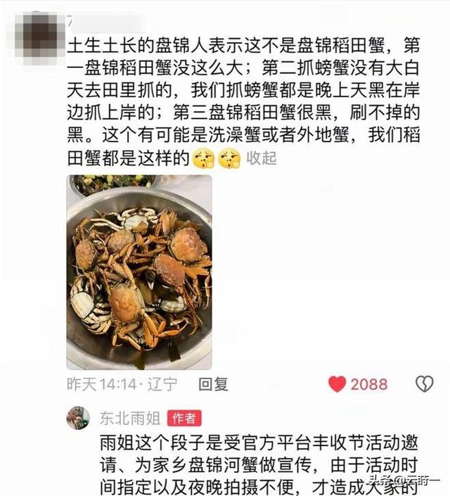 “底裤”都被扒光了？这一次官方出手，谁也救不了“东北雨姐”！