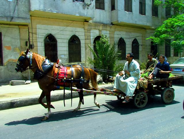 埃及旅游：难忘两访开罗探寻古老文明行（图）