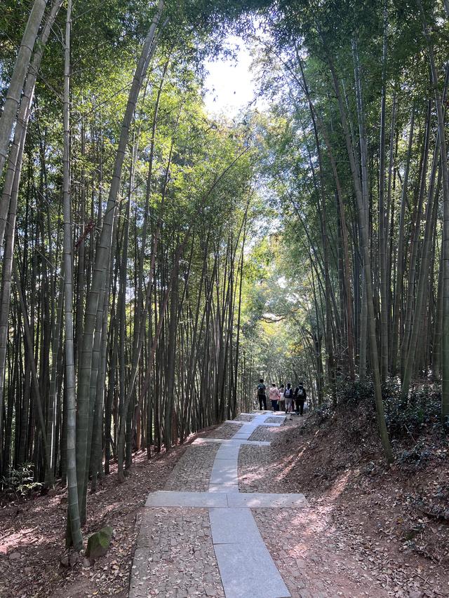 上天竺到云栖竹径，徒步9公里，感受一路秋意。