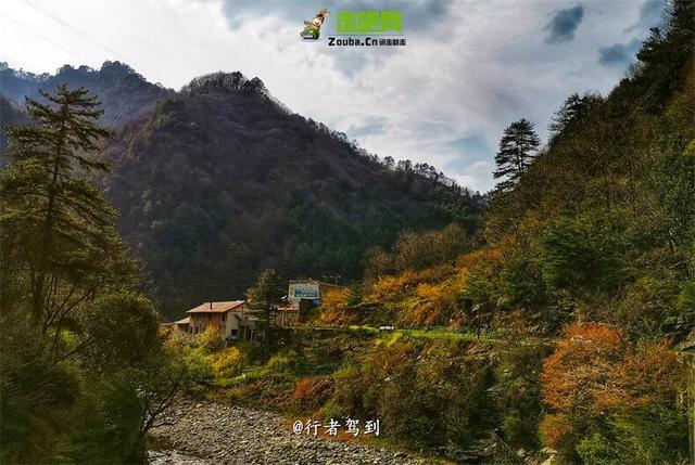 11月秋色天花板！秦岭精华秋色就锁死这7条省道，一个月都玩不完