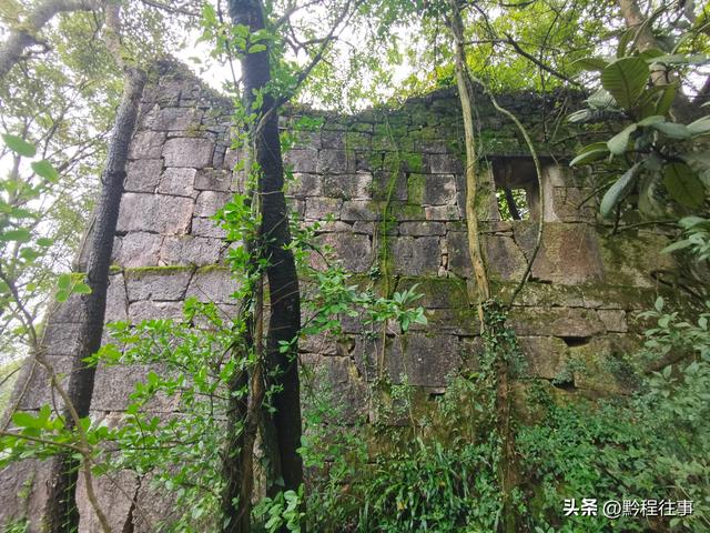 探寻龙眼山古寺遗址，一次最为艰难的野外探险之旅