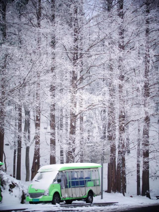 又来？这样的随州，你见没见过？