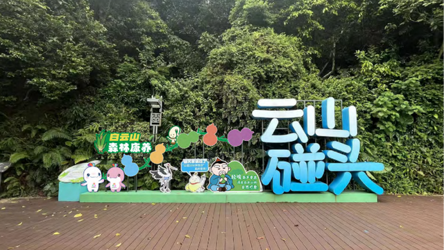 广州白云山郑仙诞文旅周即将启幕，让非遗与健康并行