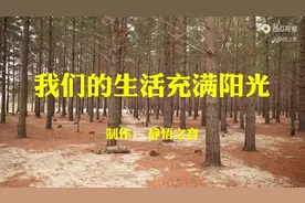 【纯音汇】笛子曲好听的纯音乐《我们的生活充满阳光》完整版图片