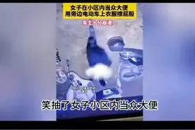 笑麻了！女子小区内大众排便后续，女子已找到，并亲自给大妈道歉图片