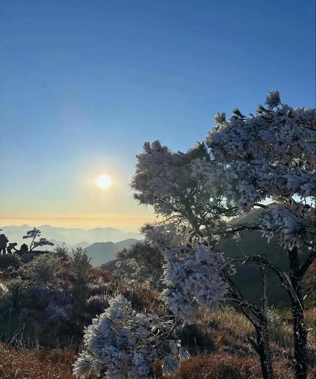 冬日雾凇惊艳再现仙游石谷，莆田多地霜冻预警中！天气回暖还得等