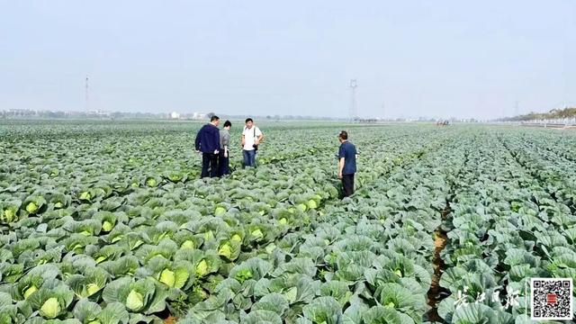 到武汉，仅需一个半小时！