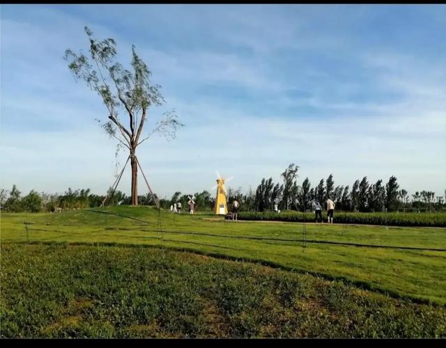 一座消失了半个世纪的千年名泉，变成了一座人人都能逛的生态公园