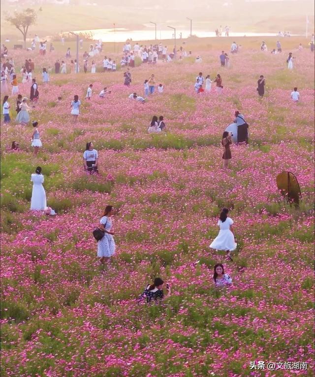 会玩的长沙人，都在这些地方过秋天