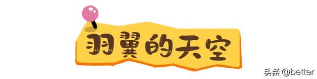 不出武汉，玩转真实版「疯狂动物城」
