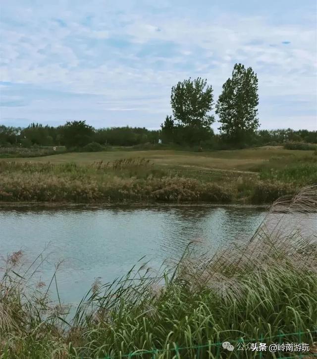 全部免费,推荐西安周边最适合拍照的芦苇荡,快去打卡吧!