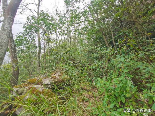 偏远乡野中寻找一个古寺遗址，探险一个深邃溶洞